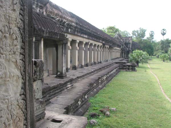 gangli