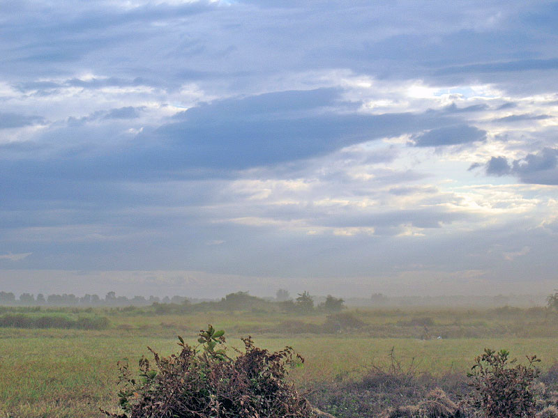 mist