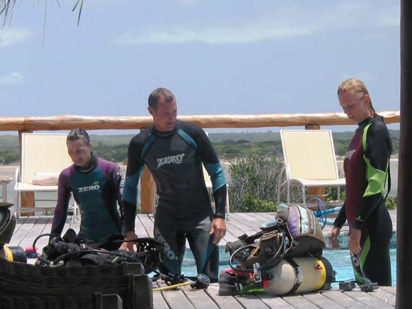 dykning - diving