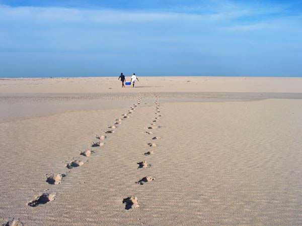 strand