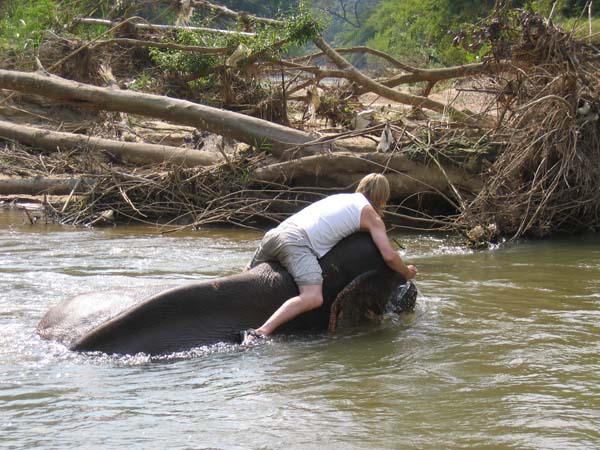 Dyk med elefant!