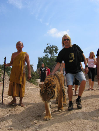 tiger och Hans