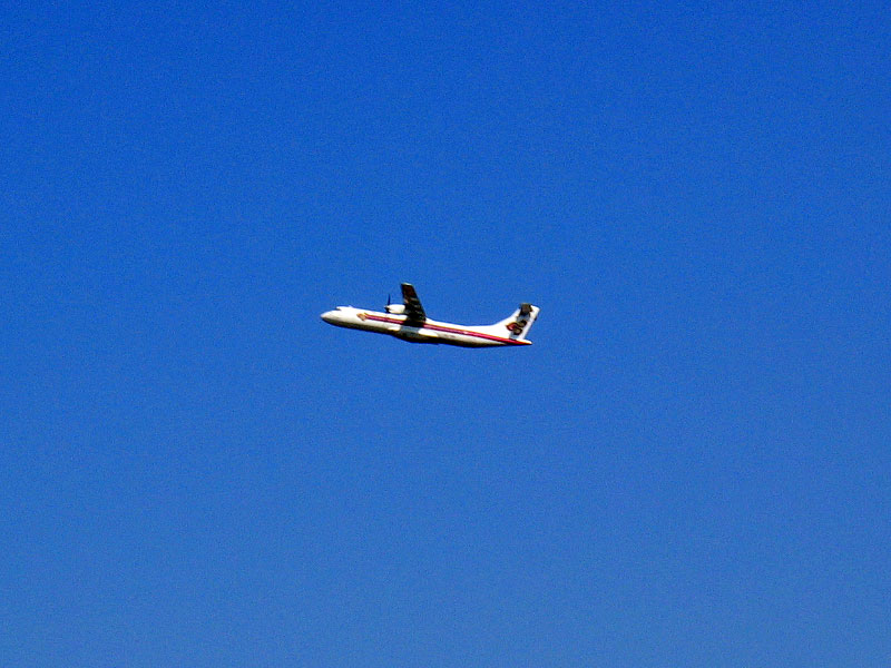 fly