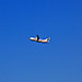 fly