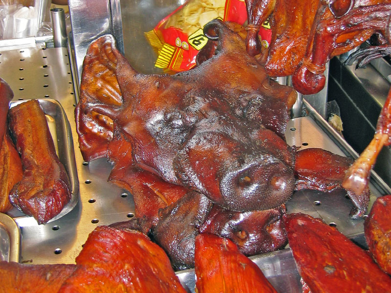 pig