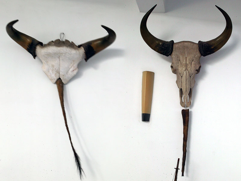 horn