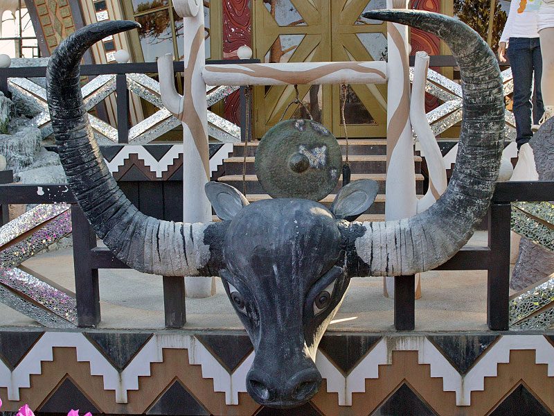 bull